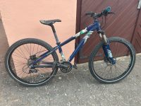 Dirtbike / Bergamont Kiez Flow Mecklenburg-Strelitz - Landkreis - Neustrelitz Vorschau