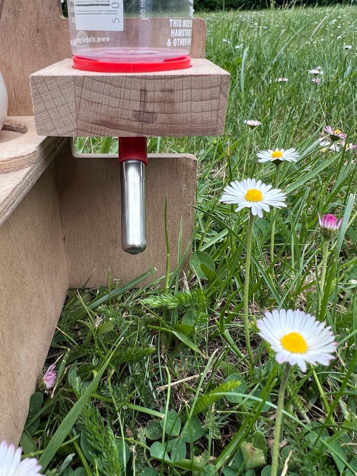 Rodipet Trinkstation+Versteck, mit Trinkflasche+ 2 Futternäpfe❤️ in Berlin