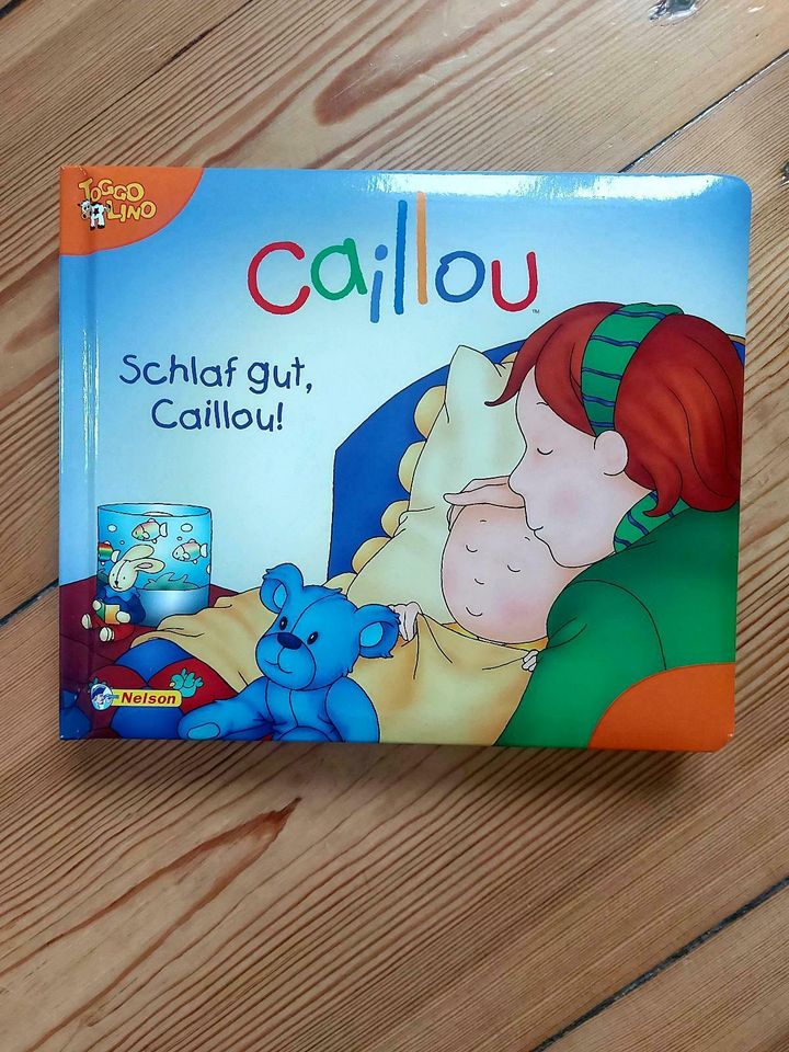 Caillou Box PC Lernspiele und Caillou Buch in Berlin