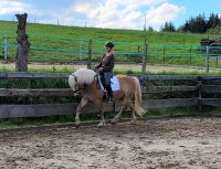 Haflinger Stute 12 Jahre Nordrhein-Westfalen - Freudenberg Vorschau