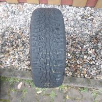 1x Winterreifen 205/55R16 91H, Nokian 5,5 mm, DOT1319 Hessen - Karben Vorschau