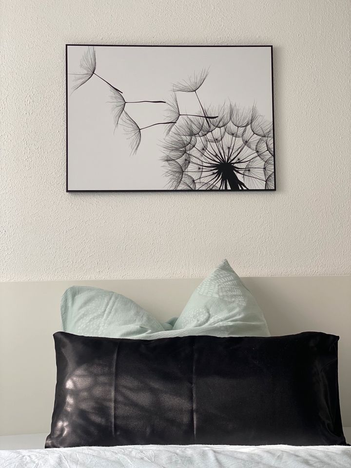 Bilderrahmen Wandbild Pusteblume schwarz weiß modern Designer in Wiesbaden