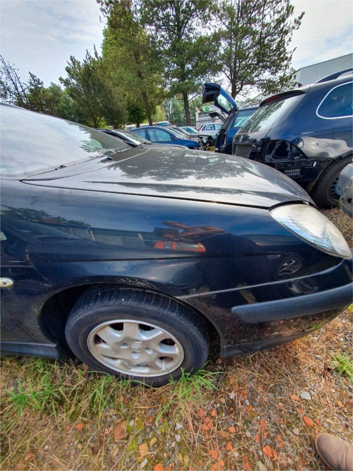 Citroen C5 Kotflügel rechts Grau Bj. 2004 in Bremervörde