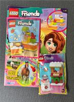 Lego Friends Nr. 6 Heft Magazin Figur NEU Comic Wandsbek - Hamburg Farmsen-Berne Vorschau