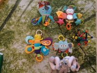Baby Spielzeug Nordrhein-Westfalen - Dülmen Vorschau