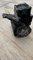 Arrma Spektrum Motor SPMXSM2100 2400Kv Hamburg-Mitte - Hamburg Hammerbrook Vorschau