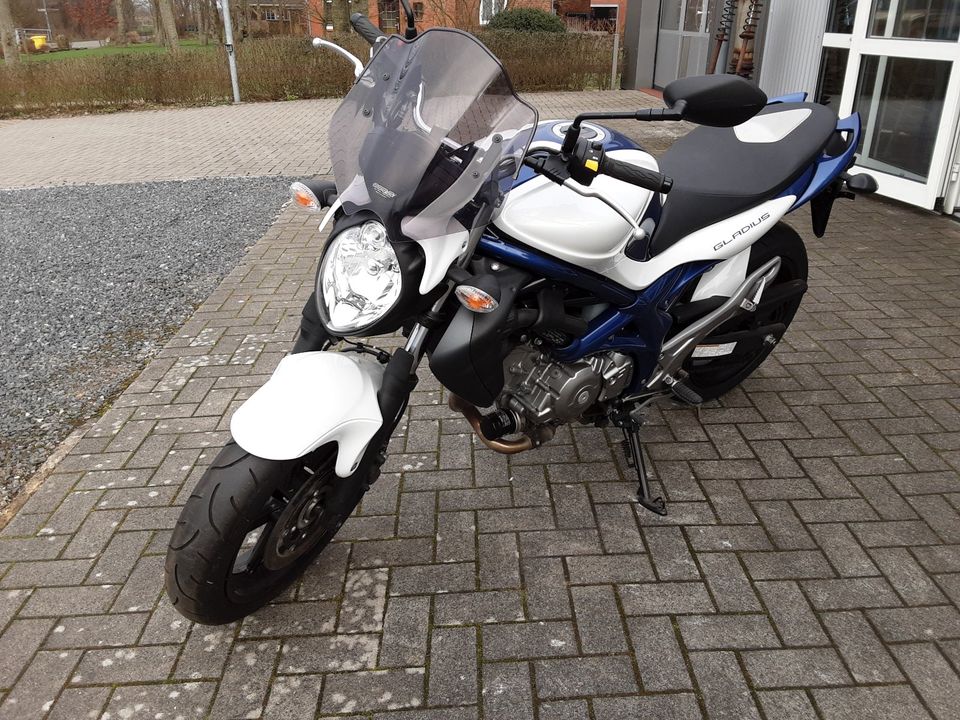 Suzuki Gladius SFV 650A  ABS in Horstedt bei Husum, Nordsee