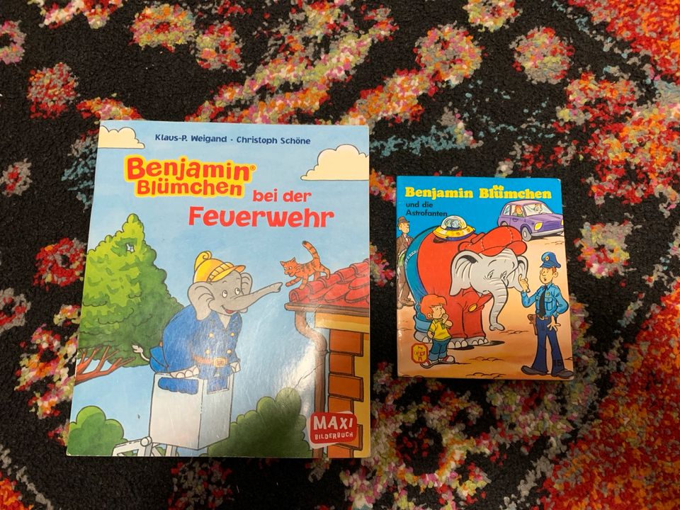 Kinderbücher Benjamin Blümchen in Würzburg