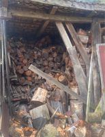 Holz für Ofen/ Kamin Brandenburg - Cottbus Vorschau