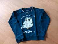 Harry Potter Pullover Hedwig, Gr. 152, 12 Jahre Baden-Württemberg - Ettlingen Vorschau