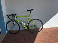 Rennrad „Red Bull“ Rose Versand 27“ RH 58cm Baden-Württemberg - Leimen Vorschau