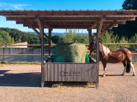 Einstellplatz im Offenstall mit Paddock / Sandplatz Nordrhein-Westfalen - Ruppichteroth Vorschau