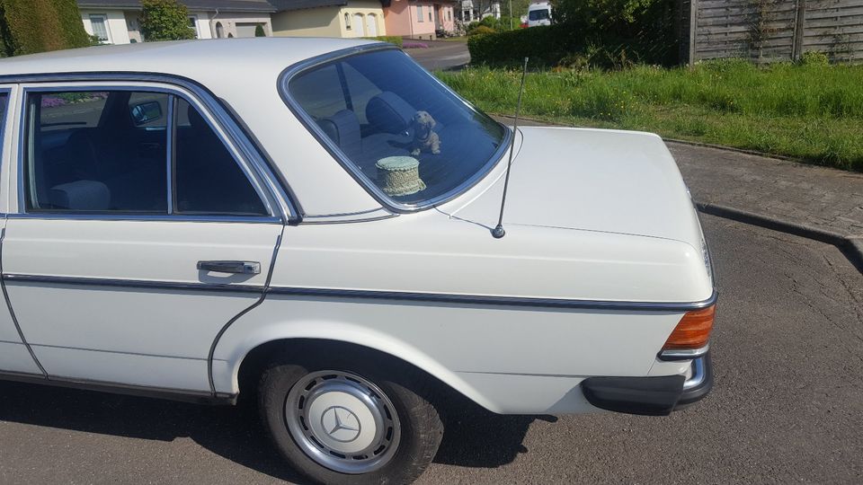 Mercedes W123 280 E Automatik in Brücken (bei Birkenfeld)