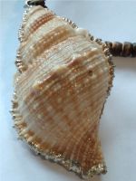 Muschelkette (Schmuck aus Naturmaterialien) Bayern - Ostheim Vorschau