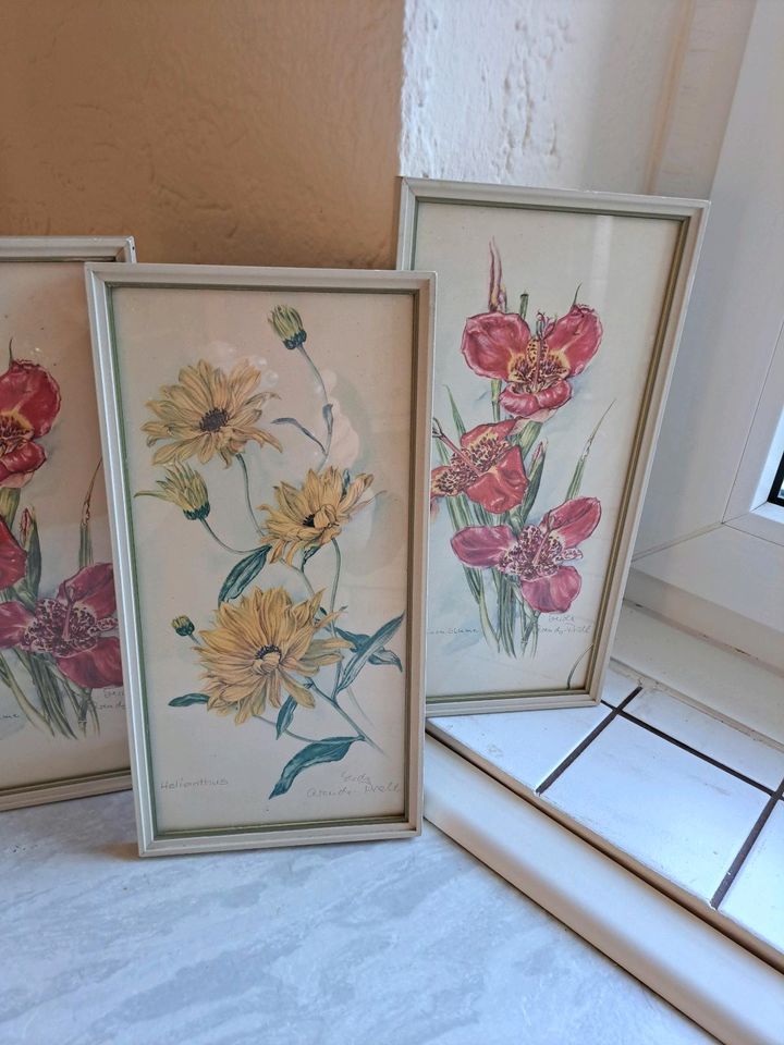 Drei Blumen Bilder  komplett in Lohmar