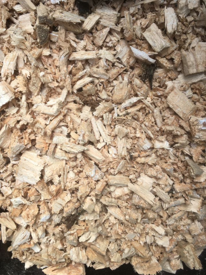 Futterlaub und Weißfaules Holz in Bad Berka