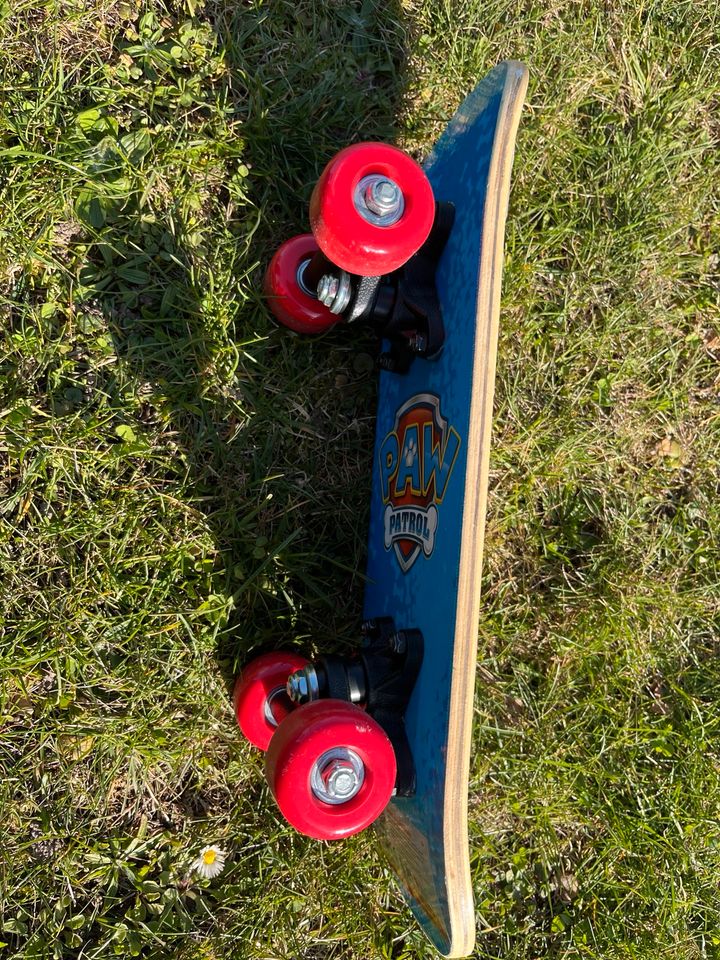 Paw Patrol Skateboard in Riedlingen