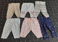 6x Baby Hose Gr.50 Mädchen Hosen Set C&A, Ernstingsfamily Mecklenburg-Vorpommern - Ferdinandshof Vorschau