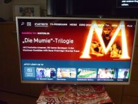 TV Sony 32 zoll 81 cm gebraucht Sachsen - Rötha Vorschau