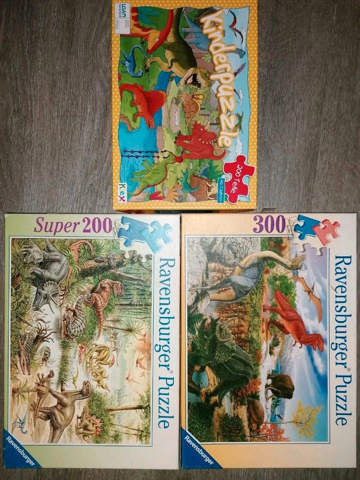 Spielesammlung,Puzzle, Pfadfinderspiel, auf Schatzjagt , Affenact in Langwedel