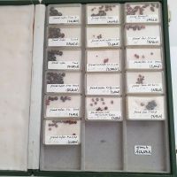 Große Sammlung Echter Granat in Box ( gesamt 163,39 Carat ) Nordrhein-Westfalen - Recklinghausen Vorschau