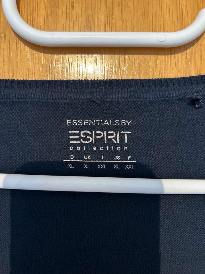 Essentials by Esprit XL kurze Strickjacke blau in Felsberg