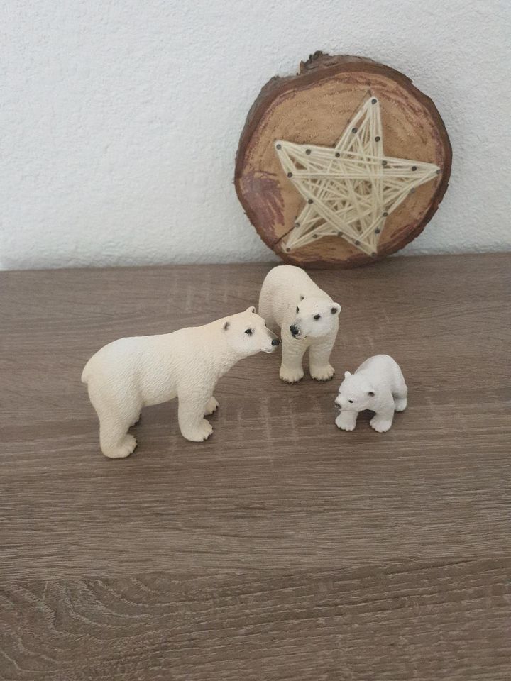 Eisbärenfamilie Schleich in Steinach