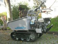 NEU Bertolini BTR1750D Dumper Allwegtransporter Kettenantrieb Nordrhein-Westfalen - Brilon Vorschau