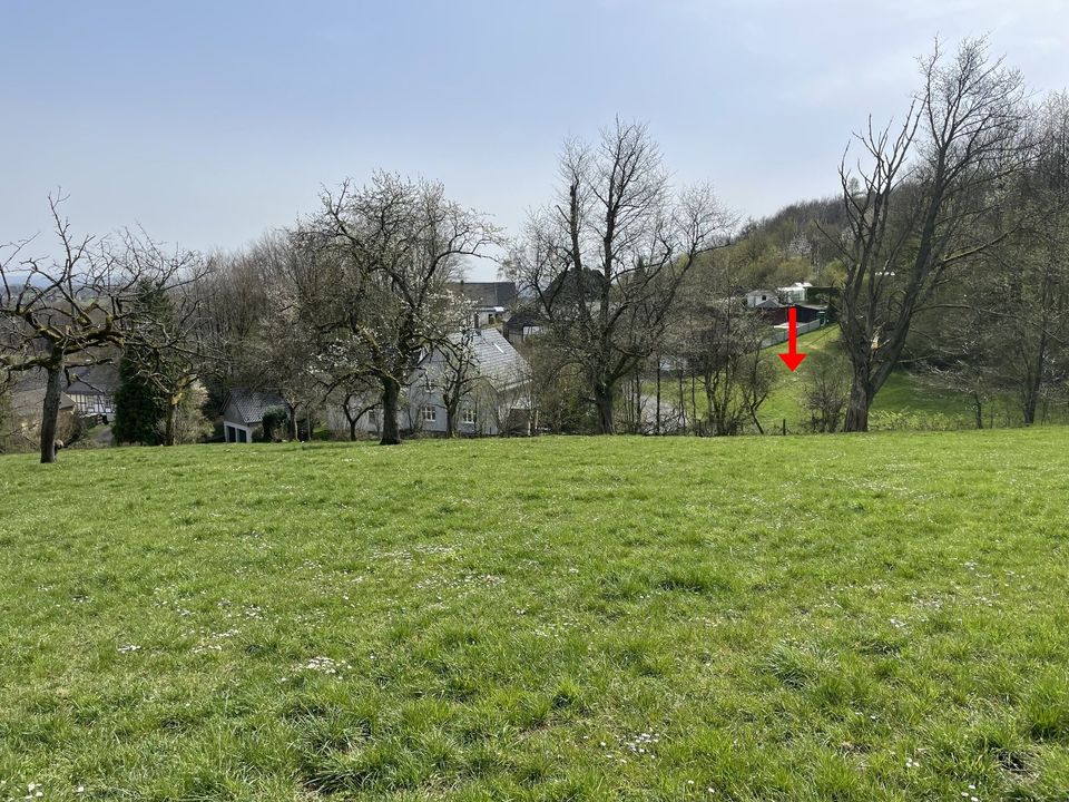 1-2 Baugrundstück(e) Waldbröl-Lützingen,   ges. 1.318m², 150 €/m² in Waldbröl