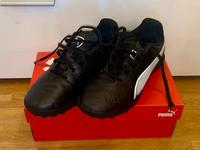 Puma King Match TT Kinder Fussballschuhe Gr. 37,5 *gebraucht* München - Sendling Vorschau