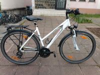 28 Zoll Pegasus Fahrrad. 21 Gänge. 50 size. Nabendinamo Baden-Württemberg - Freiburg im Breisgau Vorschau