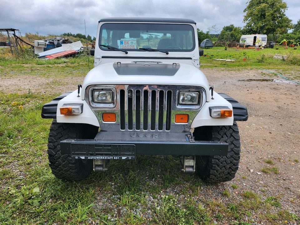 Jeep Wrangler  4,2 L YJ in Oebisfelde-Weferlingen