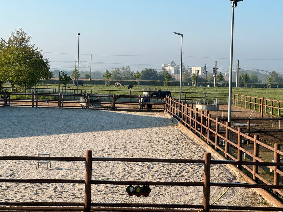 Aktivstallplätze auf moderner Reitanlage frei in Kerpen