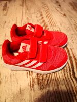 Adidas Turnschuhe Grösse 31 pink Hallenschuhe sehr gut erhalten Schleswig-Holstein - Schönberg (Holstein) Vorschau