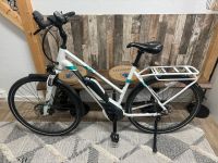 E-Bike Pegasus Solero E Sport Thüringen - Altenburg Vorschau