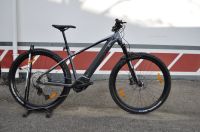 E-MTB Bionicon EARP ab 2890 € Sachsen - Glauchau Vorschau