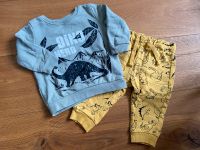 Jogger mit Dino Motiven Gr. 74 Dresden - Lockwitz Vorschau