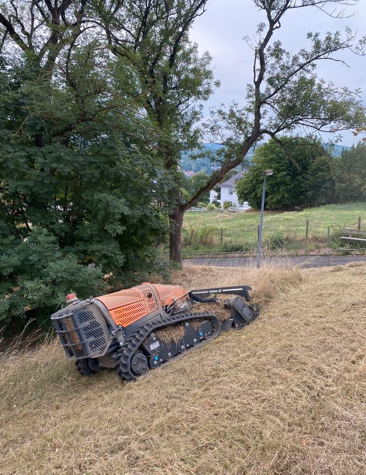 Mähraupe mieten | Energreen Robo Evo | Forstmulcher | Mulchraupe in Neukirchen