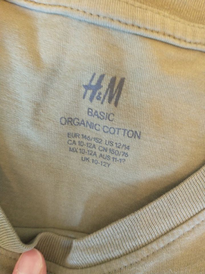 T Shirts H&M 5 Stück dunkelgrau, oliv, hellgrau 146 152 in Bensheim