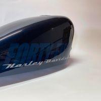 Harley-Davidson Sportster Universal Forty Eight Kraftstofftank Rheinland-Pfalz - Bingen Vorschau