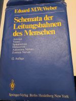 Schemata der Leitungsbahnen des Menschen Nordrhein-Westfalen - Mönchengladbach Vorschau