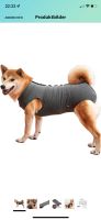 Hundebody NEU Hund Body OP Shirt dunkelgrau Rückenlänge 48 cm Bielefeld - Brackwede Vorschau