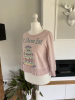 Wildfox rosa Pullover Gr. XS / S / 34 / 36 Sachsen-Anhalt - Bernburg (Saale) Vorschau