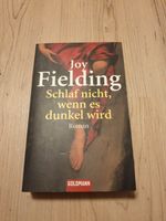 Buch "Schlaf nicht, wenn es dunkel wird - Joy Fielding" Bergedorf - Hamburg Lohbrügge Vorschau