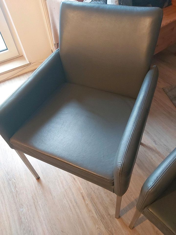 Esszimmerstühle/ -Sessel aus Leder in Aachen