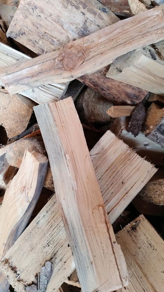 Brennholz frisch auf Wunschlänge oder trocken 33 cm in Ergoldsbach