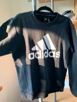 ADIDAS SET Sweatshirt+Shorts Bayern - Wolnzach Vorschau