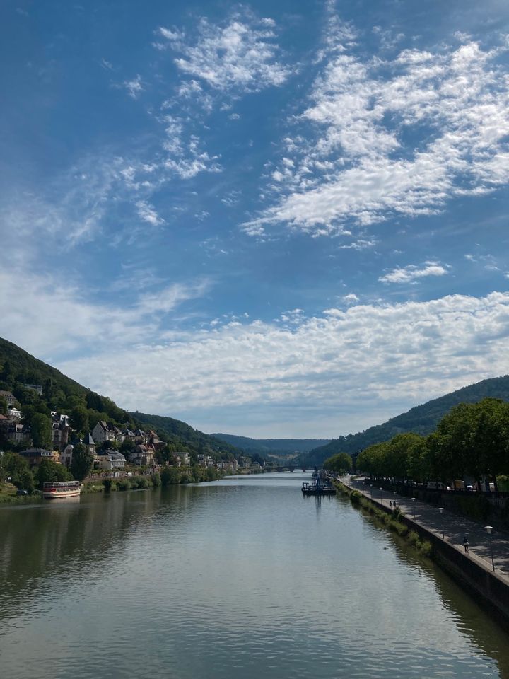 Tolle Ferienwohnungen für Urlaub oder Geschäftsreisen in Heidelberg