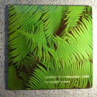 Edgar Froese - Epsilon in malaysian pale - LP/Vinyl Aachen - Eilendorf Vorschau