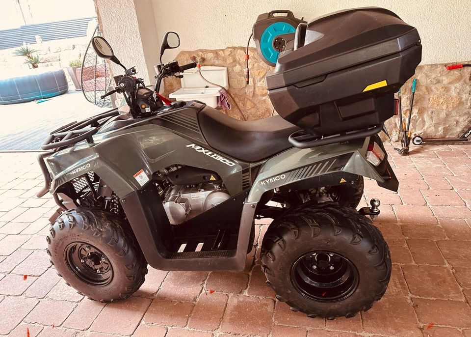 Kymco MXU 300 in Dachrieden